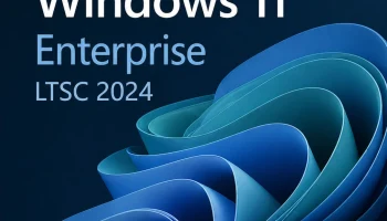 Windows 11 ltsc 2024